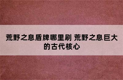 荒野之息盾牌哪里刷 荒野之息巨大的古代核心